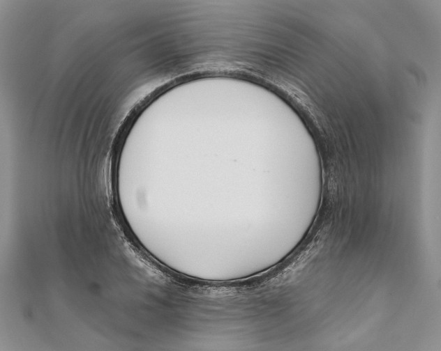 X0000111391030200908071251