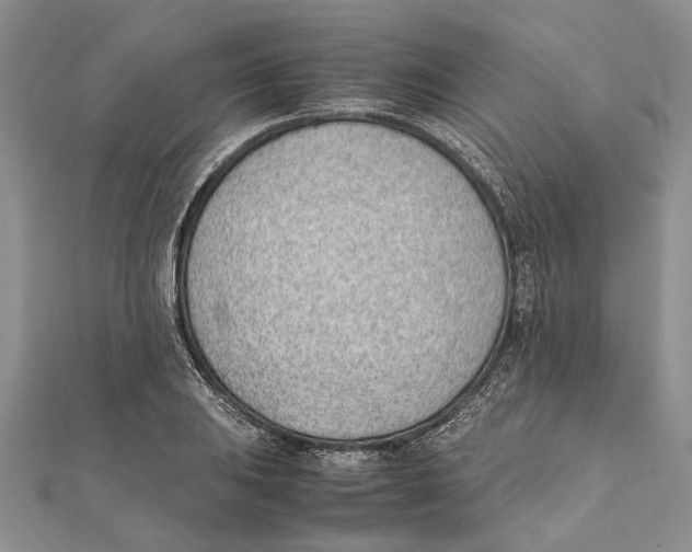 X0000111391031200908071251