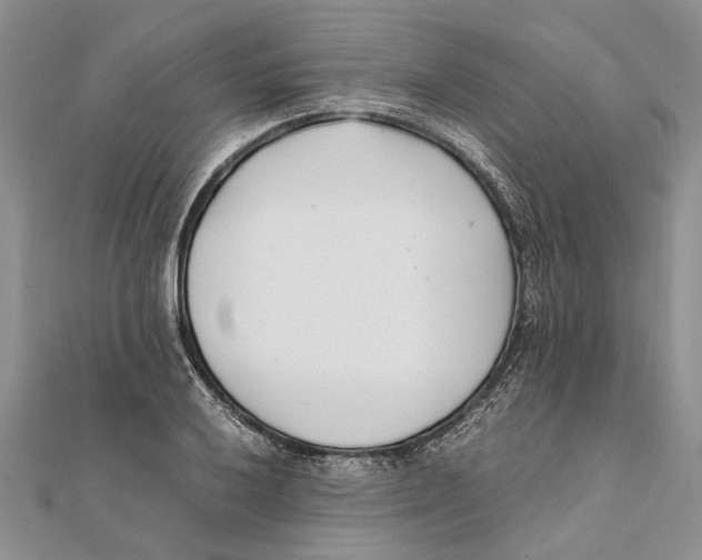 X0000111391032200908071251