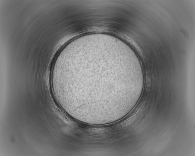 X0000111391035200908071251
