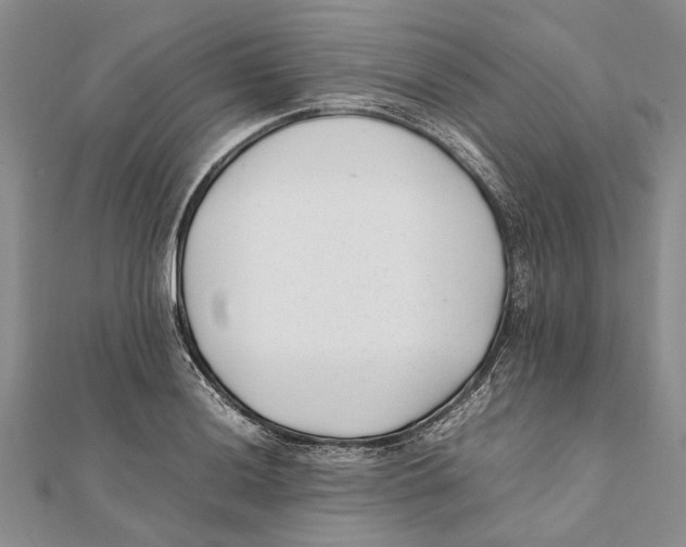 X0000111391036200908071251