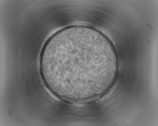 X0000111391037200908071251