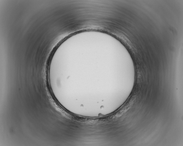 X0000111391038200908071251