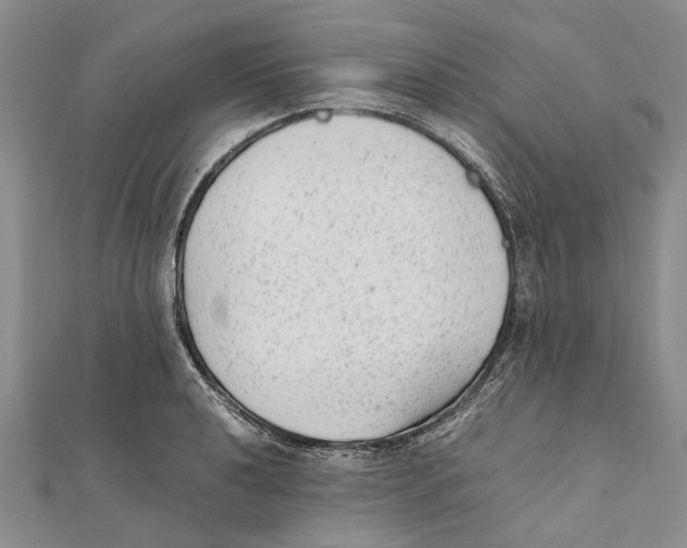X0000111391040200908071251