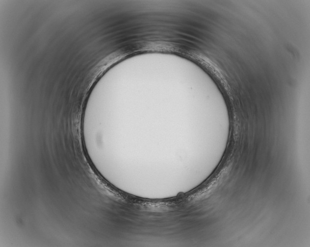 X0000111391041200908071251