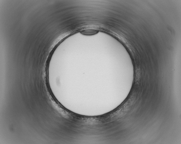 X0000111391042200908071251