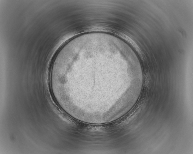X0000111391043200908071251