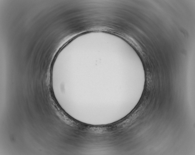 X0000111391044200908071251