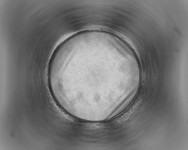 X0000111391045200908071251
