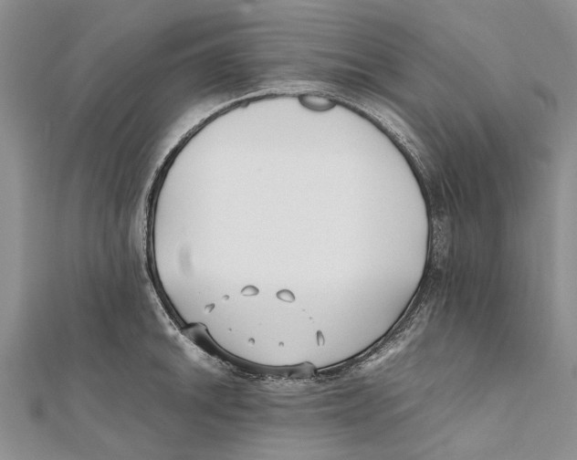 X0000111391046200908071251