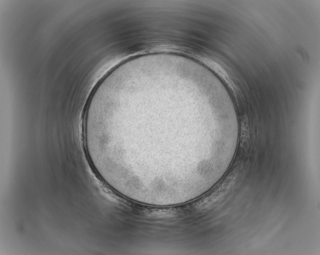 X0000111391047200908071251