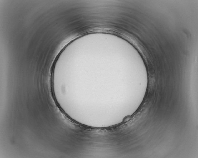 X0000111391050200908071251