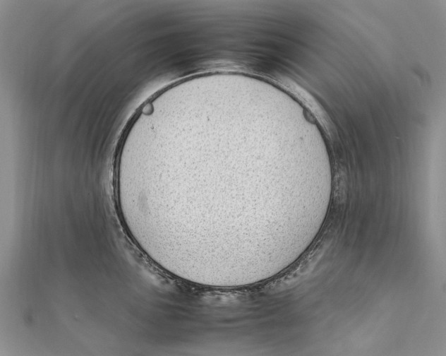 X0000111391051200908071251