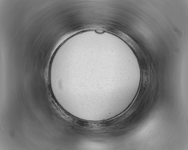 X0000111391052200908071251
