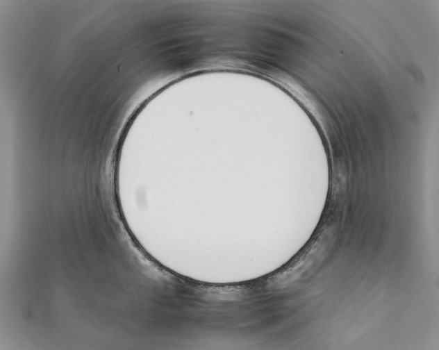 X0000111391053200908071251