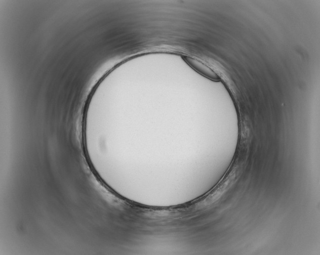 X0000111391054200908071251