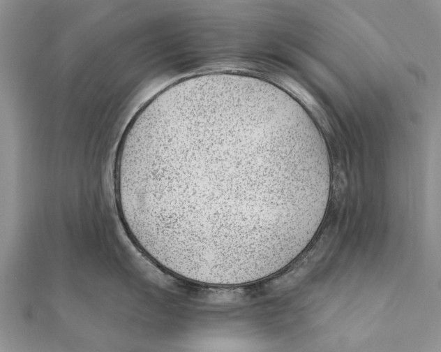 X0000111391055200908071251