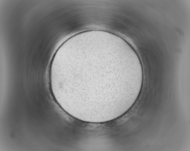 X0000111391056200908071251