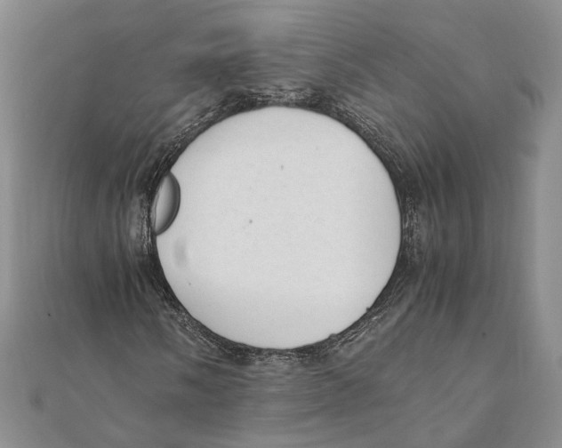 X0000111391058200908071251