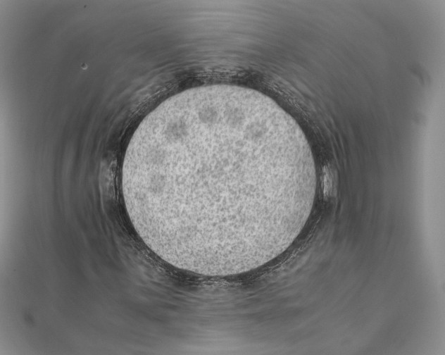 X0000111391059200908071251
