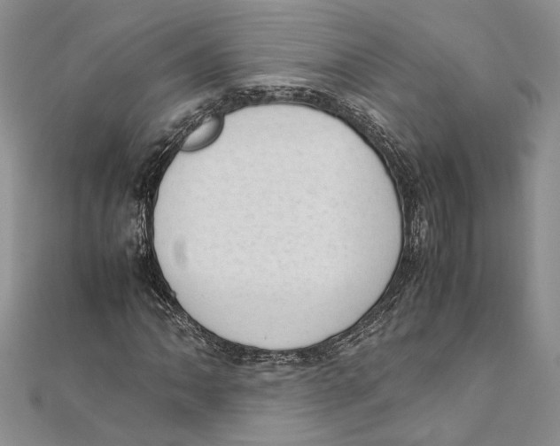 X0000111391062200908071251