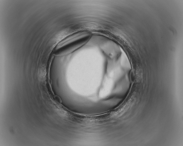 X0000111391065200908071251