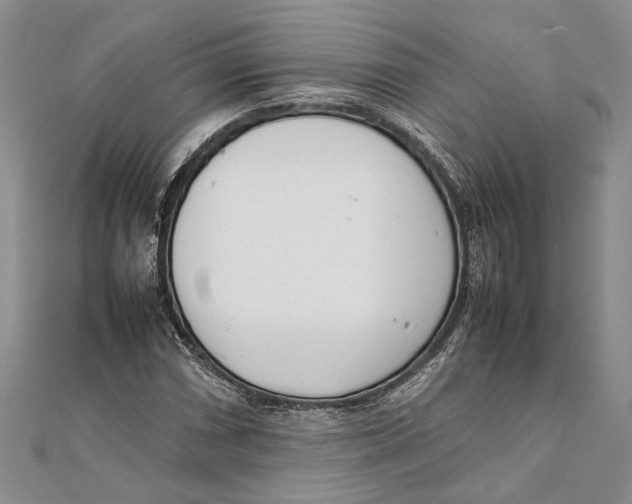 X0000111391066200908071251