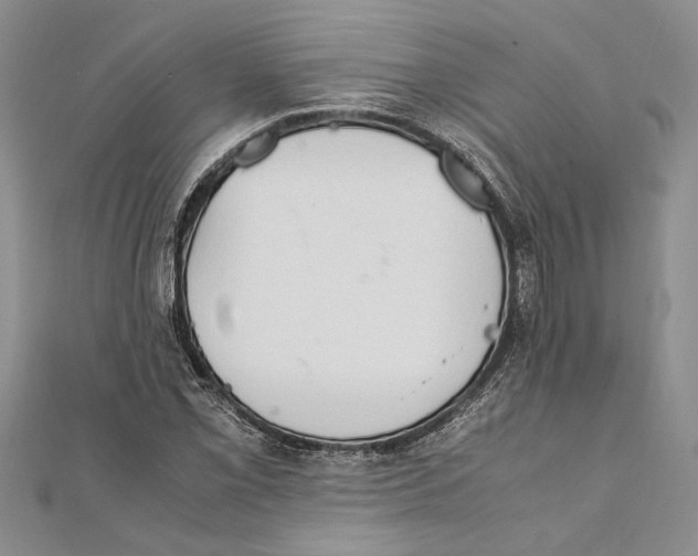 X0000111391069200908071251