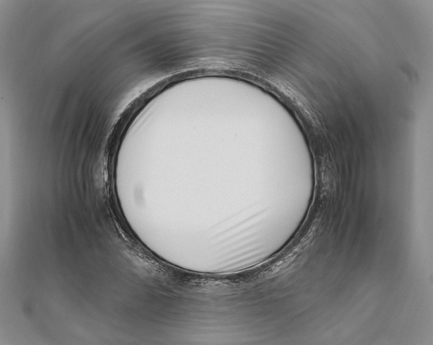 X0000111391070200908071251