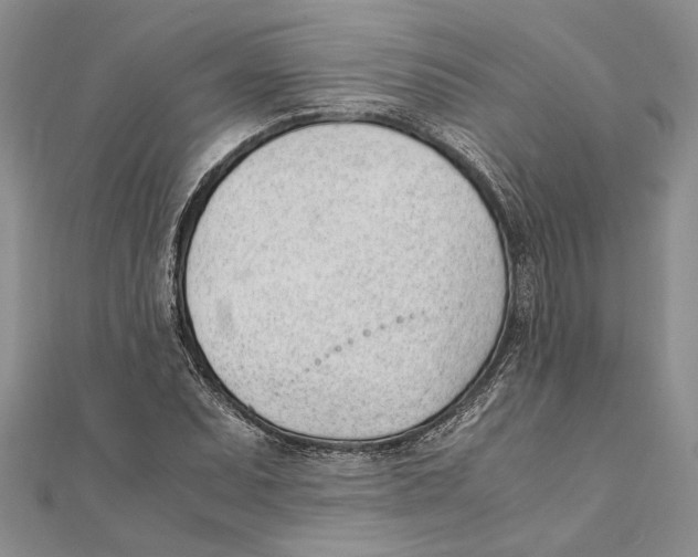X0000111391071200908071251