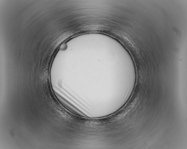 X0000111391073200908071251