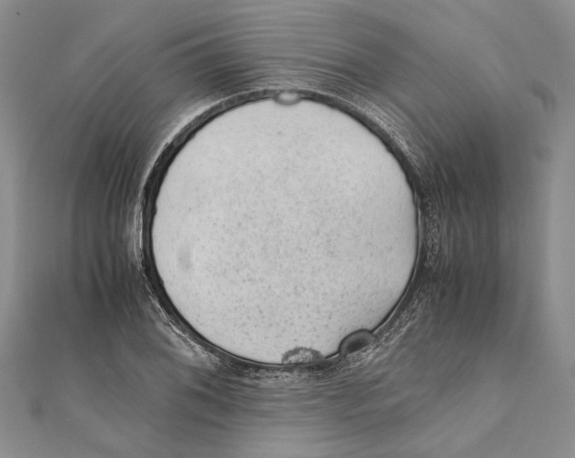 X0000111391076200908071251