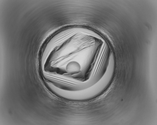 X0000111391077200908071250