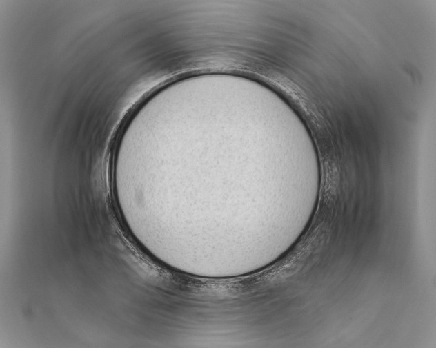 X0000111391078200908071250