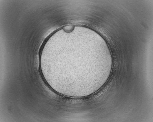 X0000111391079200908071250