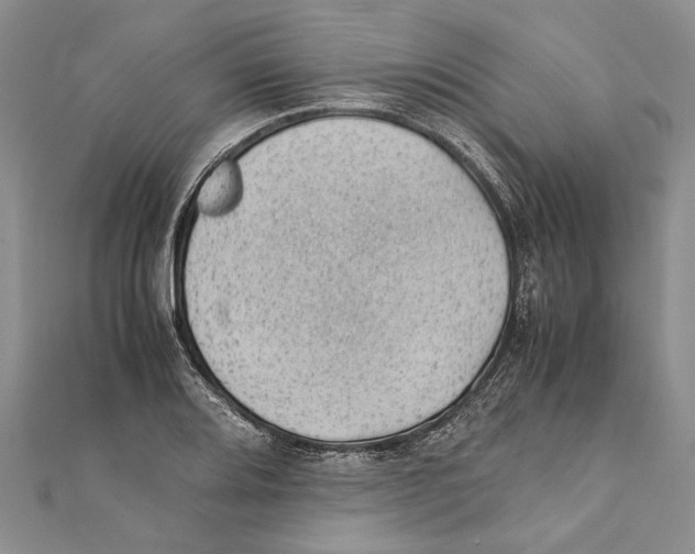 X0000111391080200908071250