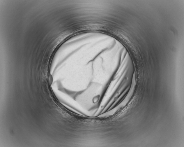 X0000111391081200908071250