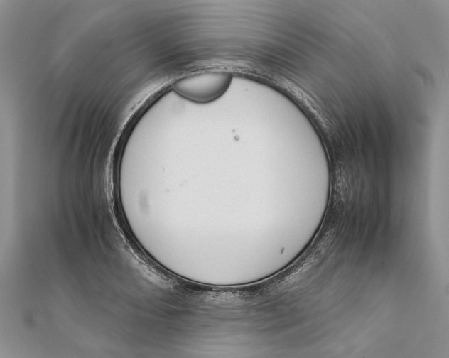 X0000111391082200908071250