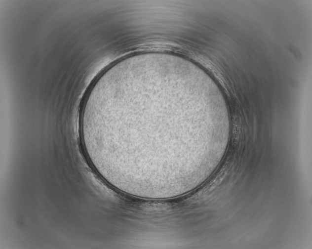 X0000111391083200908071250