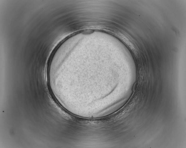 X0000111391084200908071250