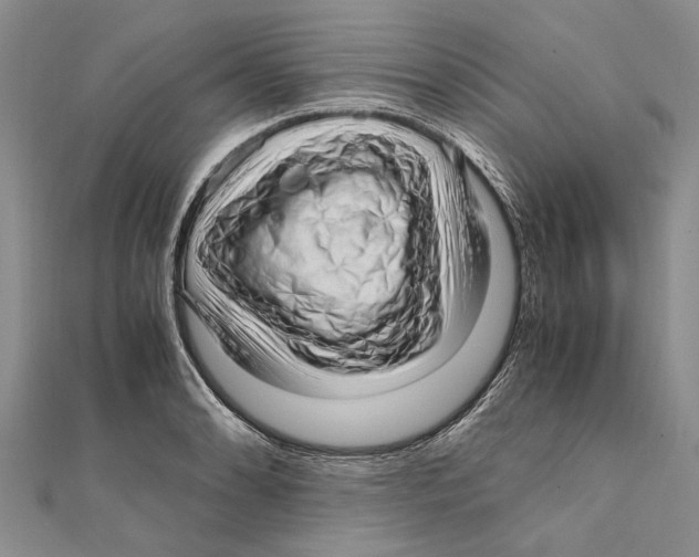 X0000111391086200908071250