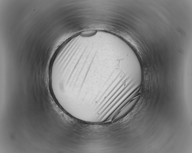 X0000111391088200908071250