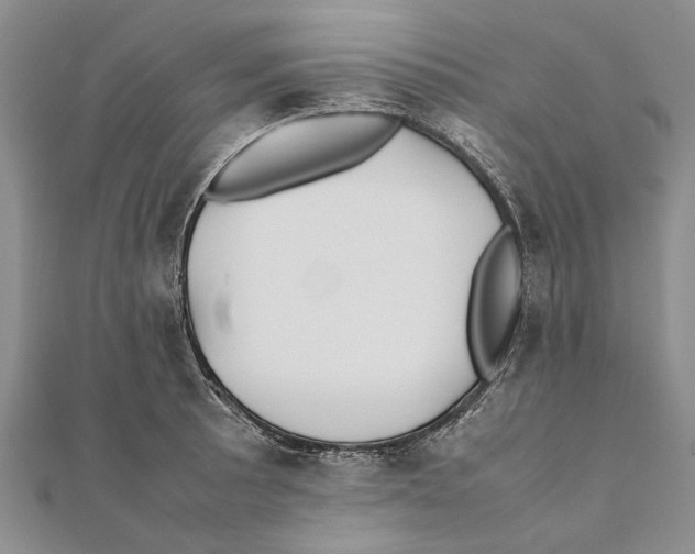 X0000111391089200908071250