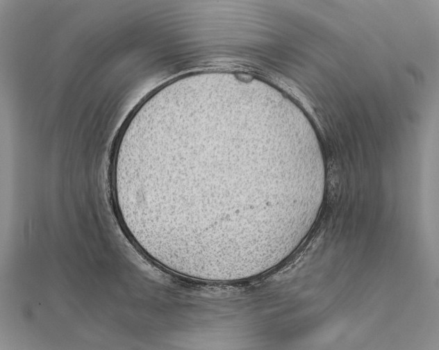 X0000111391091200908071250