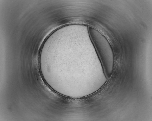 X0000111391092200908071250