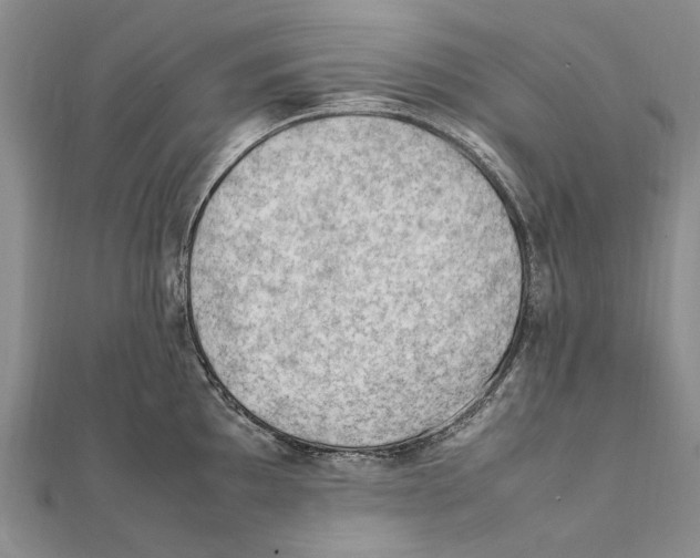 X0000111391097200908071250
