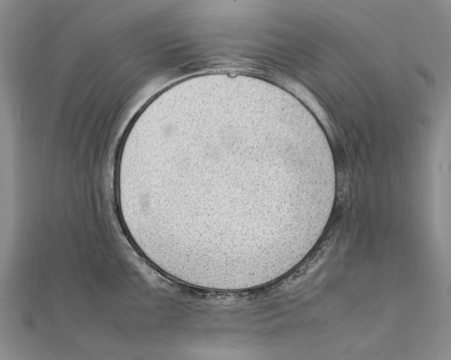 X0000111391099200908071250