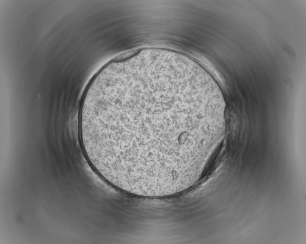 X0000111391100200908071250