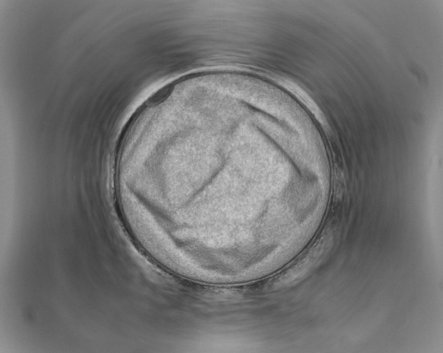X0000111391101200908071250