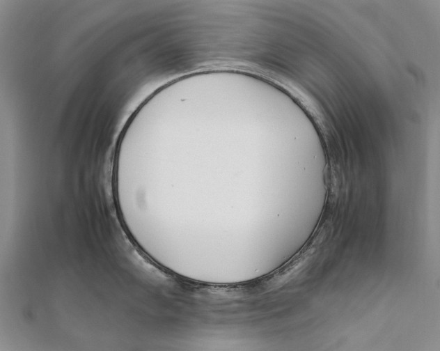 X0000111391102200908071250